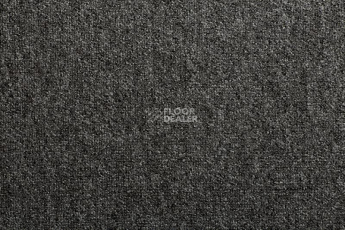 Ковролин Condor Forza 76 фото 1 | FLOORDEALER